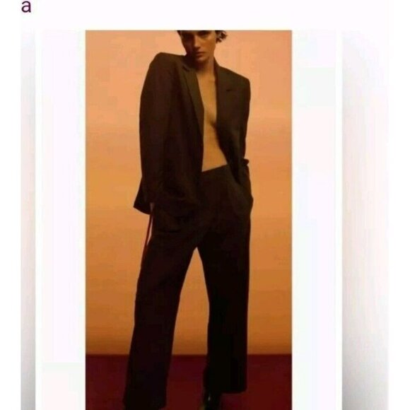 Zara Pants Trousers Women M Pants Ankle Brown Cropped NEW 2232 645 - Picture 6 of 8